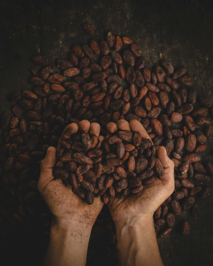 hands in cocoa beans